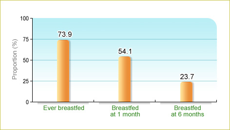 The Breastfeeding Survey conducted by the Family Health Service of the Department of Health in 2008 on 2540 local born children aged 0-5 showed that 73.9% of babies were ever breastfed, 54.1% were breastfed at 1 month and 23.7% were breastfed at 6 months.